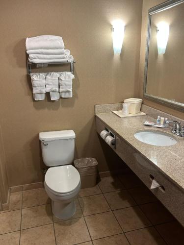 a bathroom with a toilet and a sink with towels at Comfort Suites in Palestine