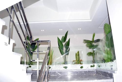 a staircase with plants in a room at Appartement FES Hayat Luxury in Fez