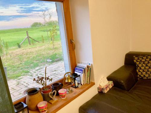 a room with a window with a couch and a table at Hacienda Verde in Szentes