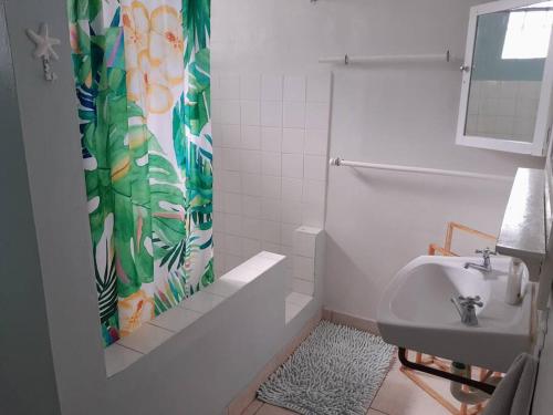 a bathroom with a shower curtain and a sink at Rafeen villa- Historic villa with pool in Bridgetown