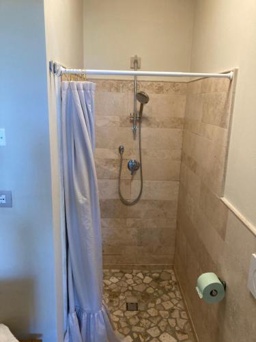 a shower with a blue shower curtain in a bathroom at The Bee House in San Giovanni