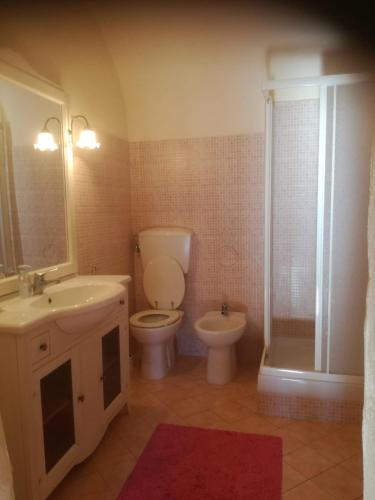 a bathroom with a toilet and a sink and a shower at Podere Casone in SantʼAdriano