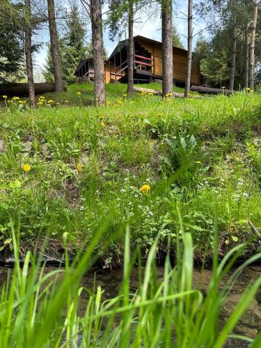 a log cabin in the woods with grass and flowers at Domki letniskowe pod Brzozami Stella in Polańczyk