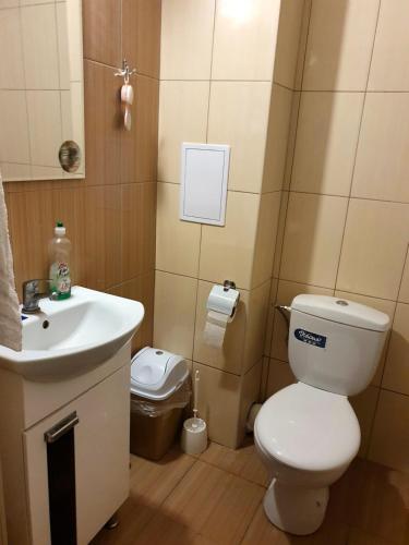 a bathroom with a white toilet and a sink at Viriks in Atanasovo