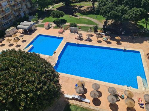 - une vue sur la piscine et ses chaises longues dans l'établissement ÁGUiLA WONDERFUL AT HOME, à Benalmádena