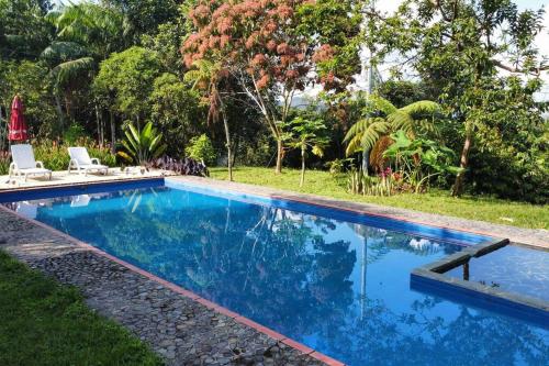 a swimming pool with blue water in a yard at Ecohousing Del Bosque in San Rafael