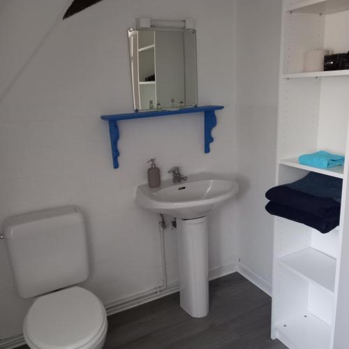 une salle de bain blanche avec des toilettes et un lavabo dans l'établissement Colmar: studio dans le centre historique, à Colmar