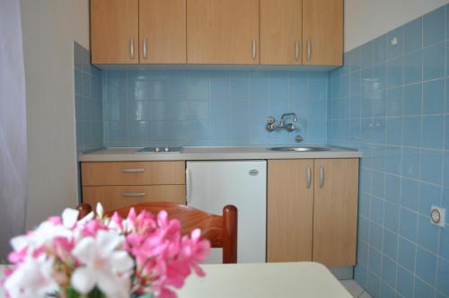 Kuchyňa alebo kuchynka v ubytovaní Apartments Smilja
