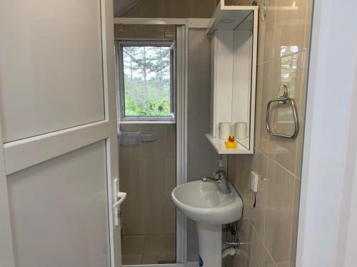 a small bathroom with a sink and a window at Cottage Nena Tara in Kaludjerske Bare