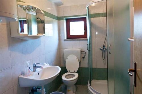 a bathroom with a toilet and a sink and a shower at Apartments Katić in Vantačići