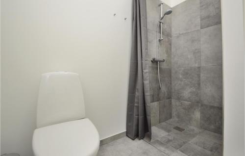 ハザスレウにあるGorgeous Home In Haderslev With Saunaのバスルーム(トイレ、シャワー付)