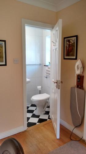 a bathroom with a toilet and a shower at Corrib View Guesthouse h91rr72 in Galway