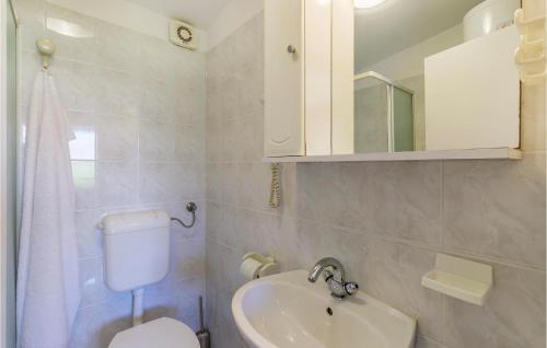 ein Badezimmer mit einem Waschbecken, einem WC und einem Spiegel in der Unterkunft Cozy Home In Valbandon With Kitchen in Valbandon