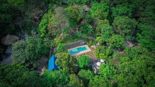 塞諾的住宿－Restaurante, Hostal y Spa Mama Neyumun，享有森林中带游泳池的房屋的空中景致