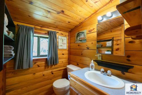 een badkamer met een wastafel en een toilet in een blokhut bij 3BR Cabin On the White River with Boat Launch - Great Fishing - CCWC in Mountain View