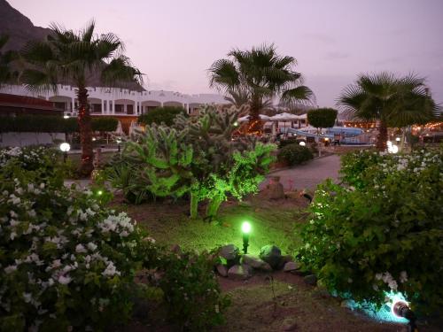 a garden at night with a light in the grass at Happy Life Village Dahab in Dahab