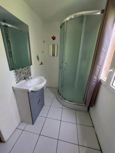 a bathroom with a glass shower and a sink at L' Eau'thentique in Bouillante