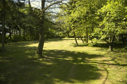 a park with trees and a dirt road at Henne Strand Ferie Accommodation in Hennebjerg