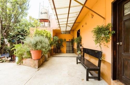 un banc assis à l'extérieur d'un bâtiment avec des plantes dans l'établissement Casa Huitzilin, à Mexico