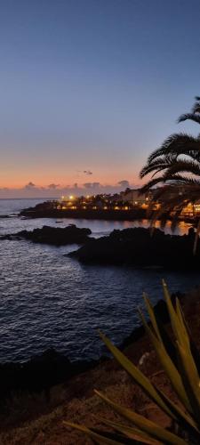 a beach with a palm tree and the ocean at night at ALMar We Go! Alcalá - Habitaciones Privadas en piso compartido Frente al Mar - Private Rooms in shared Apartment in Alcalá