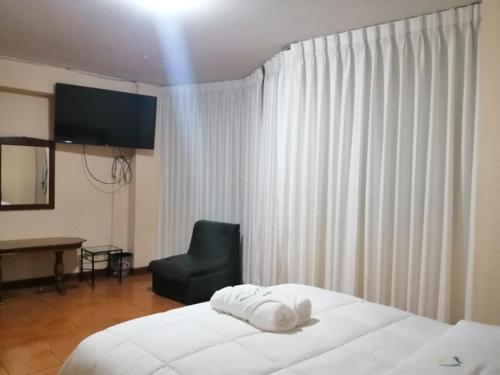 1 dormitorio con 1 cama, 1 silla y TV en Hotel Aquarius, en Chimbote
