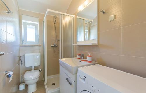a bathroom with a toilet and a sink and a shower at Awesome Home In Pomer With House Sea View in Pomer