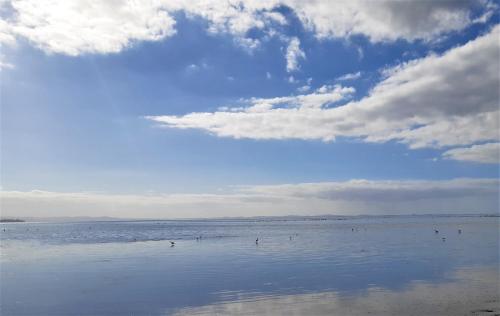 a group of people in the water on a beach at Once Upon a Tide in Auckland