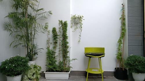 eine Wand mit Topfpflanzen und einem gelben Stuhl in der Unterkunft Khanh Thy Homestay Lagi in La Gi