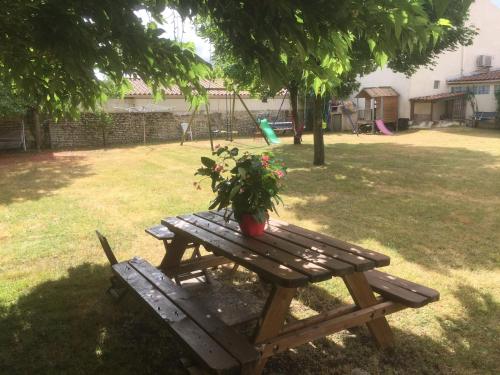 a wooden picnic table with a potted plant on it at La Vendange Family Gites in Gibourne