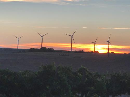 a group of windmills in a field at sunset at La Vendange Family Gites in Gibourne