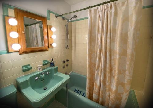 baño con lavabo y cortina de ducha en Spacious Bedroom in a Brooklyn House Shared with Host, en Brooklyn