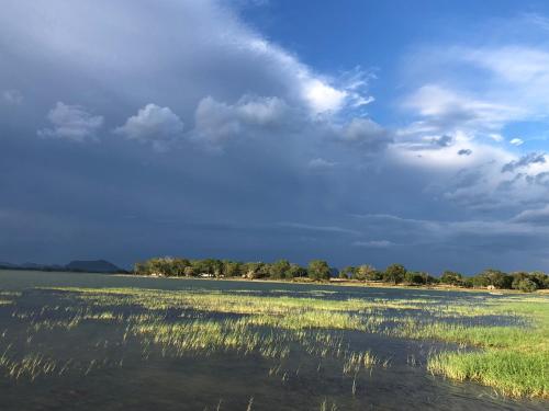 a large body of water with grass in the foreground at Lapwing Lake Villa in Tissamaharama