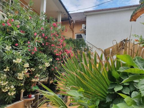 a garden with flowers and plants in a yard at Casa Day&Amy in Eforie Sud