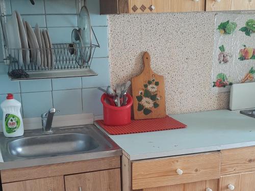 eine Küchentheke mit einer Spüle und einen Messerblock mit Küchenutensilien in der Unterkunft Эконом вариант - спальный район in Tschernihiw