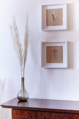 Elegant Apartment