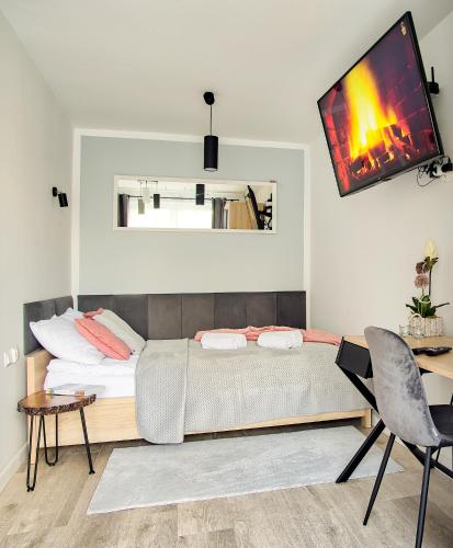 Μια τηλεόραση ή/και κέντρο ψυχαγωγίας στο Apartament Dla Dwojga