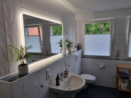 bagno con lavandino, servizi igienici e specchio di Schöne naturnahe und ruhige Wohnung a Telgte