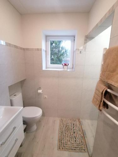 a bathroom with a toilet and a window at Antonio house in Ramučiai