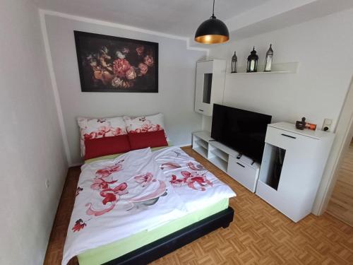 1 dormitorio con 1 cama con almohadas rojas y TV en Wohnung im Nationalpark Kalkalpen 1, en Reichraming