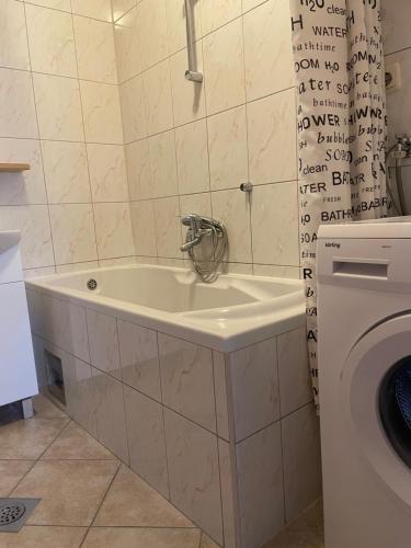 y baño con lavabo y lavadora. en Apartment Isabell, en Split