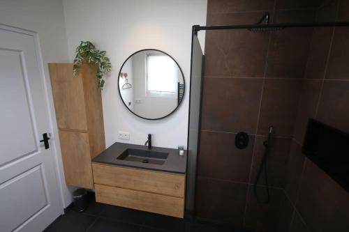 a bathroom with a sink and a mirror at Het Pareltje van Walsoorden in Walsoorden