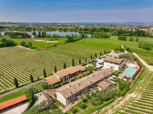 una vista aérea de una finca con un viñedo en Bertoletta Village Apartments, en Peschiera del Garda