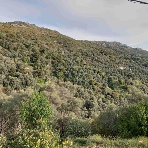 Φυσικό τοπίο κοντά σε αυτή η παραθεριστική κατοικία