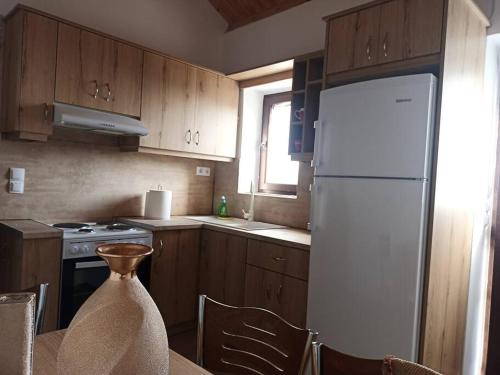 a kitchen with a white refrigerator and wooden cabinets at Aloni Cottage above Aegean Sea in Raches