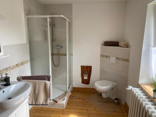 uma casa de banho com um chuveiro, um WC e um lavatório. em Pension Landhaus an der Saale em Bernburg