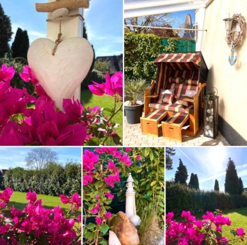 a collage of pictures of flowers and a heart at Apartment Glesch in Bergheim