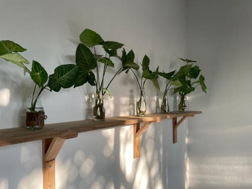 a wooden table with four plants in vases on it at Elephant's House - Đường Lâm Homestay in Hanoi