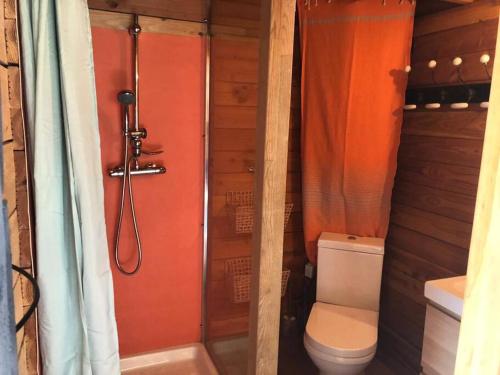 a small bathroom with a toilet and a shower at Chalet bois cosy avec piscine Aix nature in Aix-en-Provence