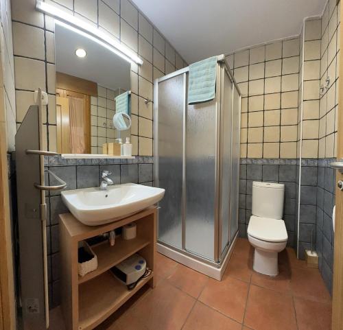 a bathroom with a sink and a shower and a toilet at Apartamento Rosa Bielsa in Bielsa