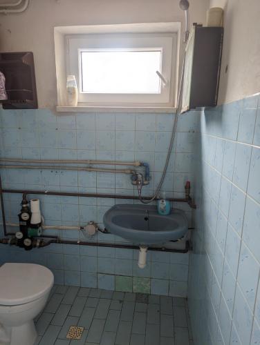 uma casa de banho com um lavatório e um WC em Chata v Dolních Věstonicích em Dolní Věstonice